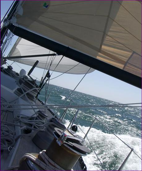 IMGP0503500x750